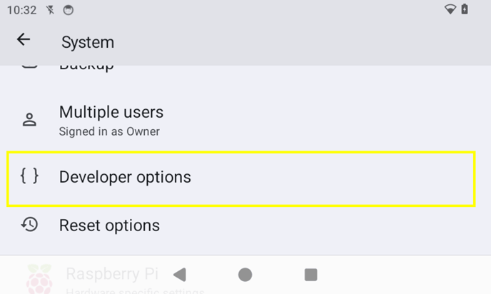 Choose Developer options in System