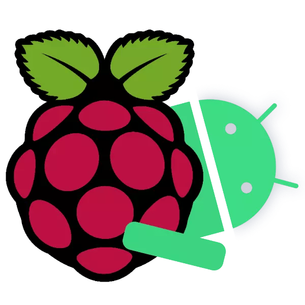 raspberry pi logo icon