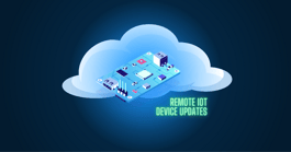 Remote Update for IoT Devices